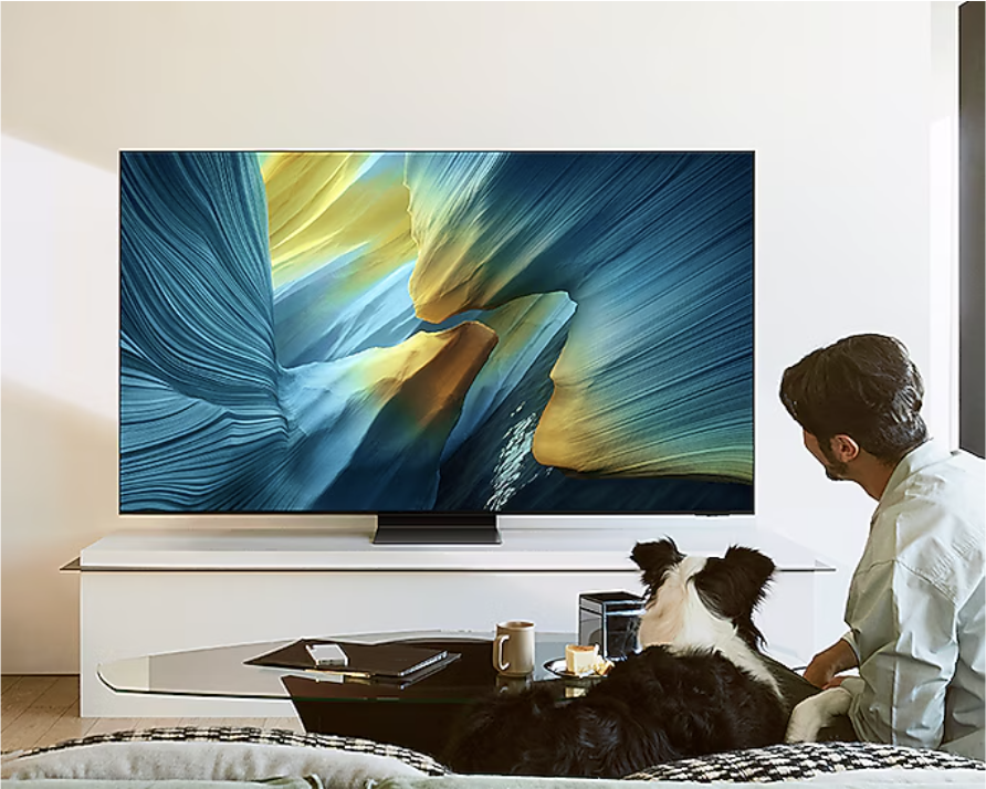 SAMSUNG QE77S95FATXXN televisie 4K UHD - 77"