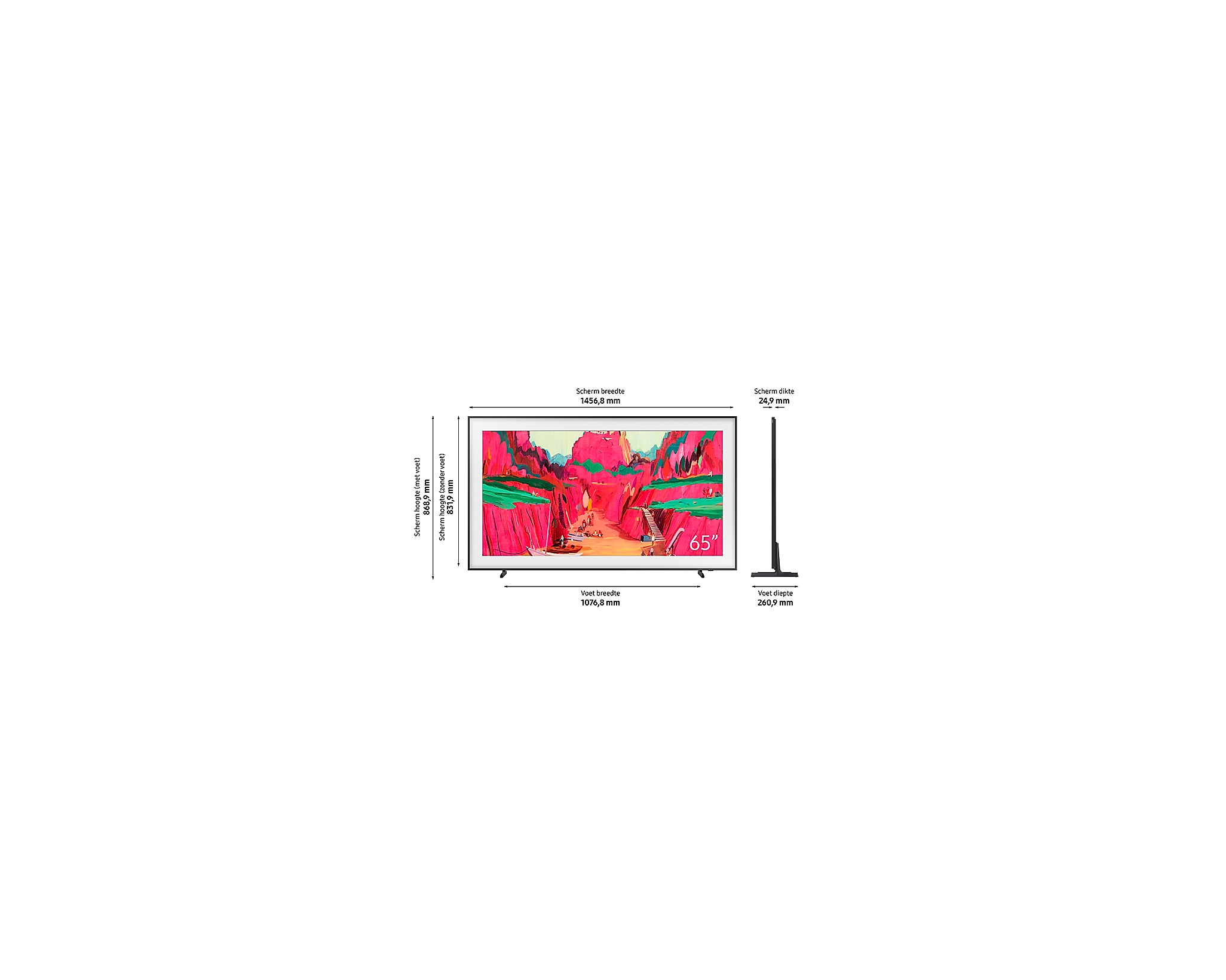 SAMSUNG F-QE65LS03FWUX televisie 4K UHD - 65''