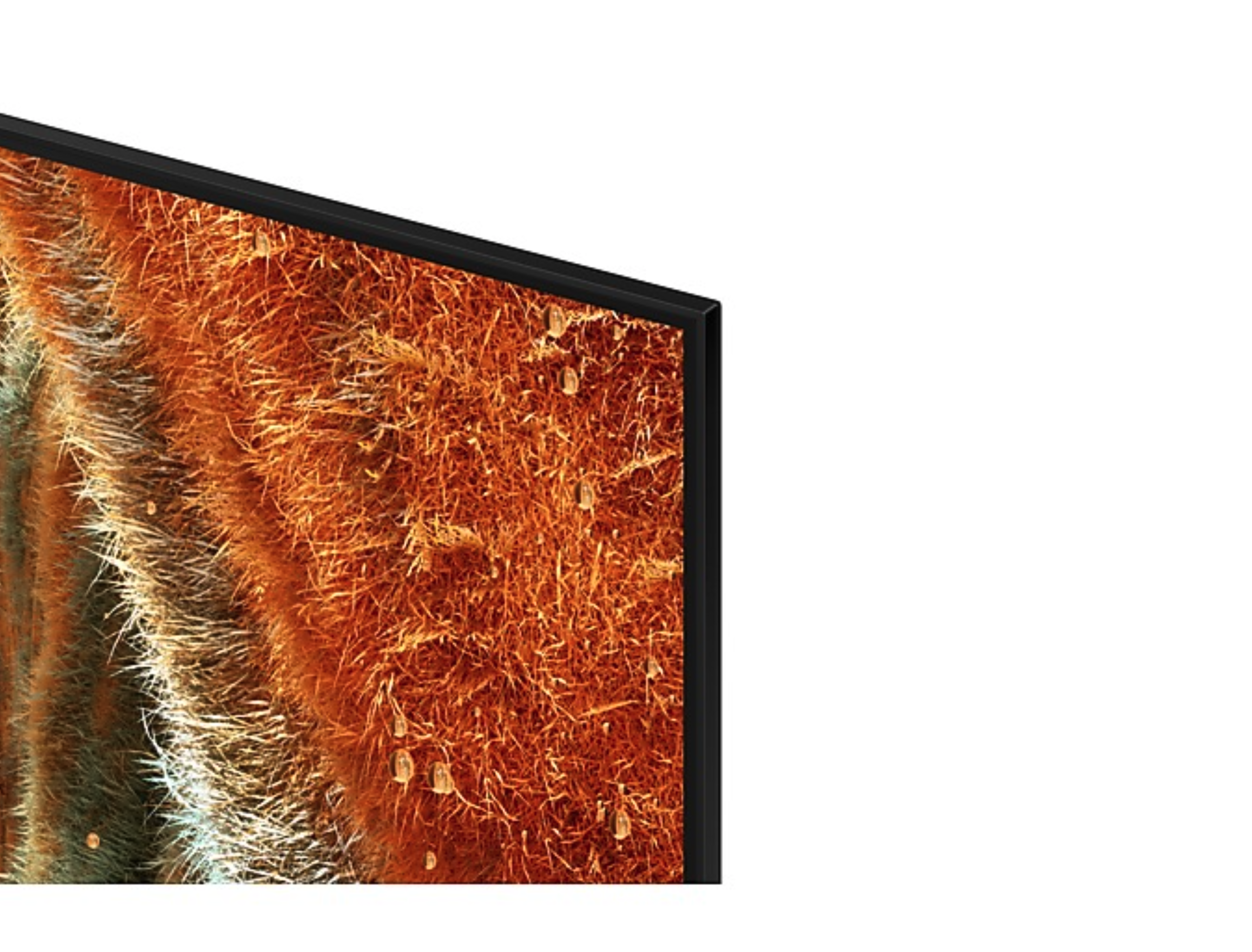 SAMSUNG QE55QN77FATXXN televisie 4K UHD - 55''