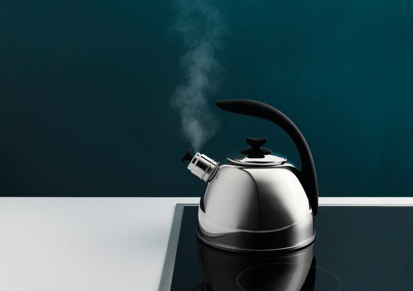 BERGHOFF 1104175 fluitketel BERGHOFF 1104175 fluitketel