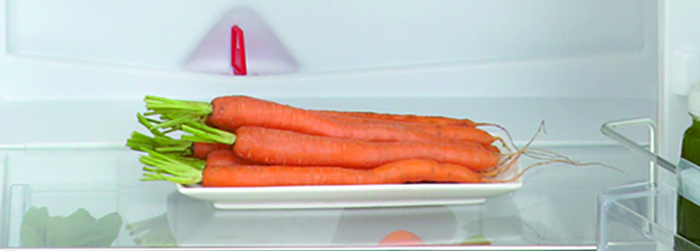 ATAG KS37122A koelkast zonder vriesvak  - 102cm ATAG KS37122A koelkast zonder vriesvak  - 102cm