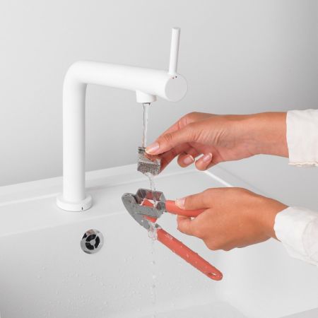 BRABANTIA 121845 knoflookpers