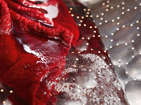 MIELE WTD165WPM CHROME EDITION was- droogcombinatie MIELE WTD165WPM CHROME EDITION was- droogcombinatie