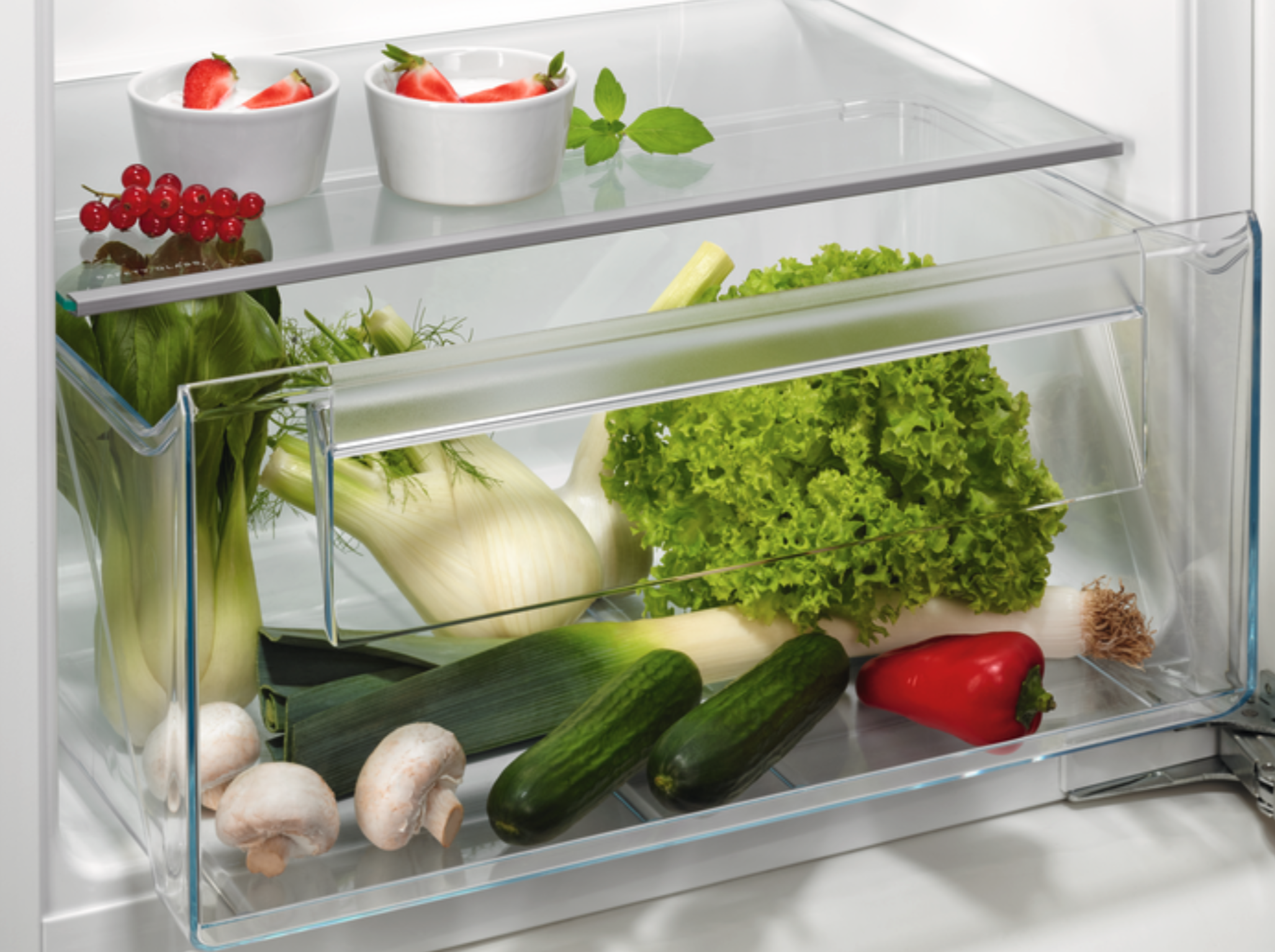 AEG TSK5O121ES 5000 koelkast zonder vriesvak - 122cm AEG TSK5O121ES 5000 koelkast zonder vriesvak - 122cm